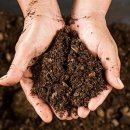 <흙 속의 숨결> 이미지