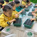 수암병설유치원 이미지