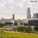 흥인지문-흥인지문공원 금계국-현대아울렛, 동대문 나들이