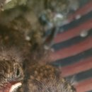 황보농장 이미지