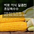 달달한제주