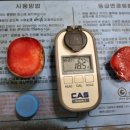 댄디농장 이미지