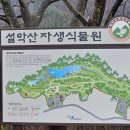비에이치씨금호설악리조트점