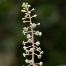 논두렁밭두렁 이미지