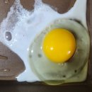 국제식품/정육백화점 양정점 이미지