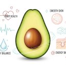 아보카도 효능과 건강 지방의 역할 이미지