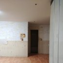 신방한라동백@ 2 이미지