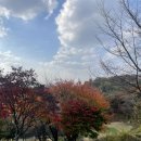 아시아나노래연습장 이미지