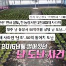 영철농장 이미지