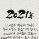 신비돌스 랙돌 캐터리 네이버블로그