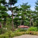 숲속자연유치원 | 천안 태학산자연휴양림 숲속의집 참나리 후기 및 정보