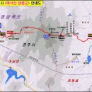 남근농장 Daum카페