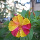 신서고등학교 이미지