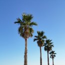 정원광장 이미지