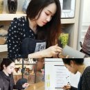 새운광고디자인