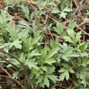 노들나루공원 이미지