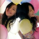 키무라 요시노 카카오 검색결과