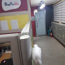 수학애반하다 | 오금수학 수학애반하다 송파 등록 후기