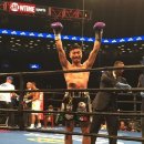 STS BOXING 이미지