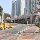 늘푸른단지공인중개사사무소 이미지