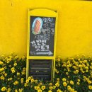 김진현 | 가파도 맛집_김진현핫도그 내돈내산 후기