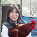 유라이크 이미지