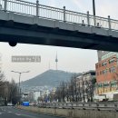 한국지엠 원당바로서비스 | 녹사평역 태국음식 맛집 부다스벨리 레가시｜푸님팟퐁커리, 팟타이, 똠양꿍 4인 세트 후기