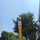 동묘완구거리 크런치말랑이 쇼핑 후기(2026. 6. 28. 일요일 기준)