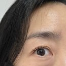 썸 | 광명 철산 도도디자인 - 올라운드 토탈 뷰티샵 속눈썹 펌 추천