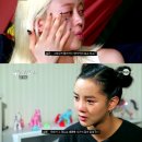 김보아 카카오 검색결과
