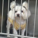 관악동물종합병원 이미지