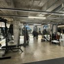 새싹피티 이미지