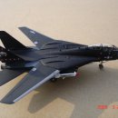 에이스 1/144 F-14 블랙톰캣 이미지