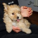 토곡동물병원 이미지