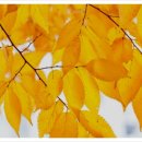 어느 날 오후 이미지