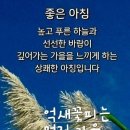 연신유도체육관 네이버블로그