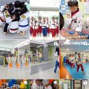 석사 경희대 인성 태권도 이미지