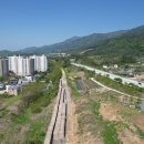 봉산 이팝나무길 이미지