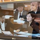 조은미의원 오마이뉴스