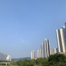 나의 최애 디저트 동탄 카림애비뉴 [와플대학]