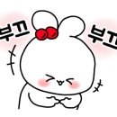 디딤돌아웃도어