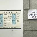 진양호짬뽕 이미지