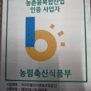 다람쥐 체바퀴 돌듯 이미지