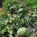 함안(부산)휴게소 이미지