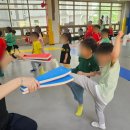 파파태권도장 이미지