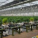 장대들길 이미지