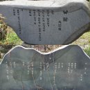 개나리농장 이미지