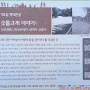 고양밥할머니석상 | 고양특례시 덕양구 동산동 밥할머니공원 &amp; 숫돌고개 이야기