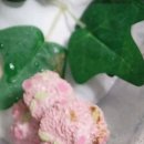 신세종약국 이미지