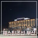 현대공원 앞 | 여행] 해운대 웨스틴조선 부산 디럭스 공원뷰 1박 2일 솔직 후기! (feat. 현대카드 M포인트몰 예약 꿀팁)